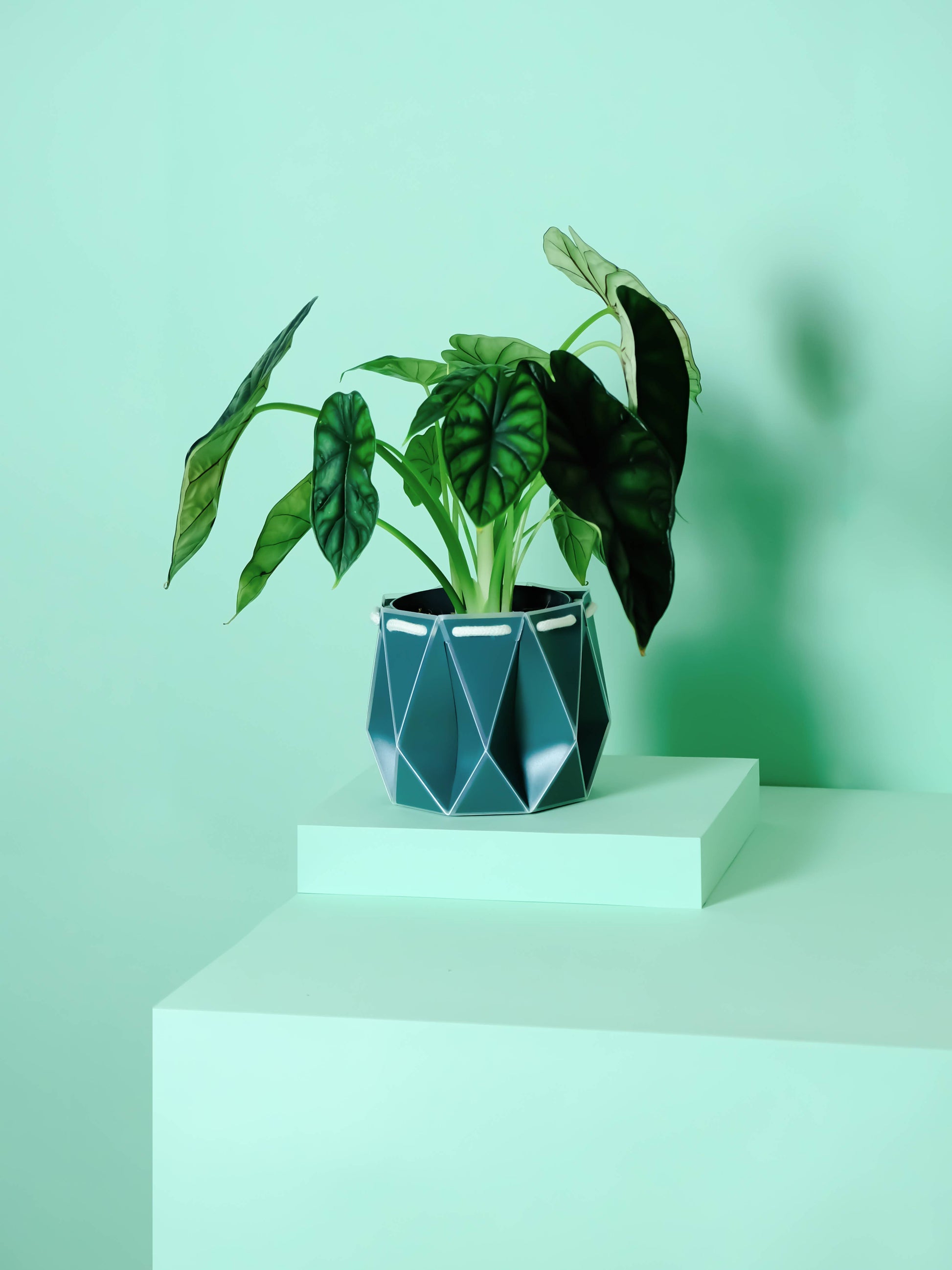 15cm self-watering plant pot in geometric design with green leafy plant by Churchill and Green