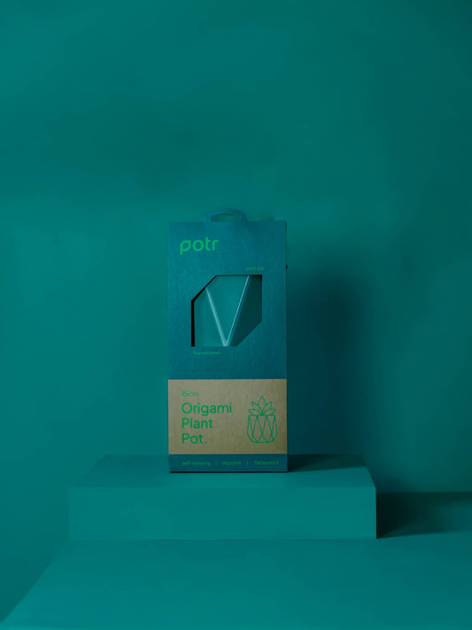 Churchill & Green 15cm self-watering plant pot Origami Plant Pot in green packaging