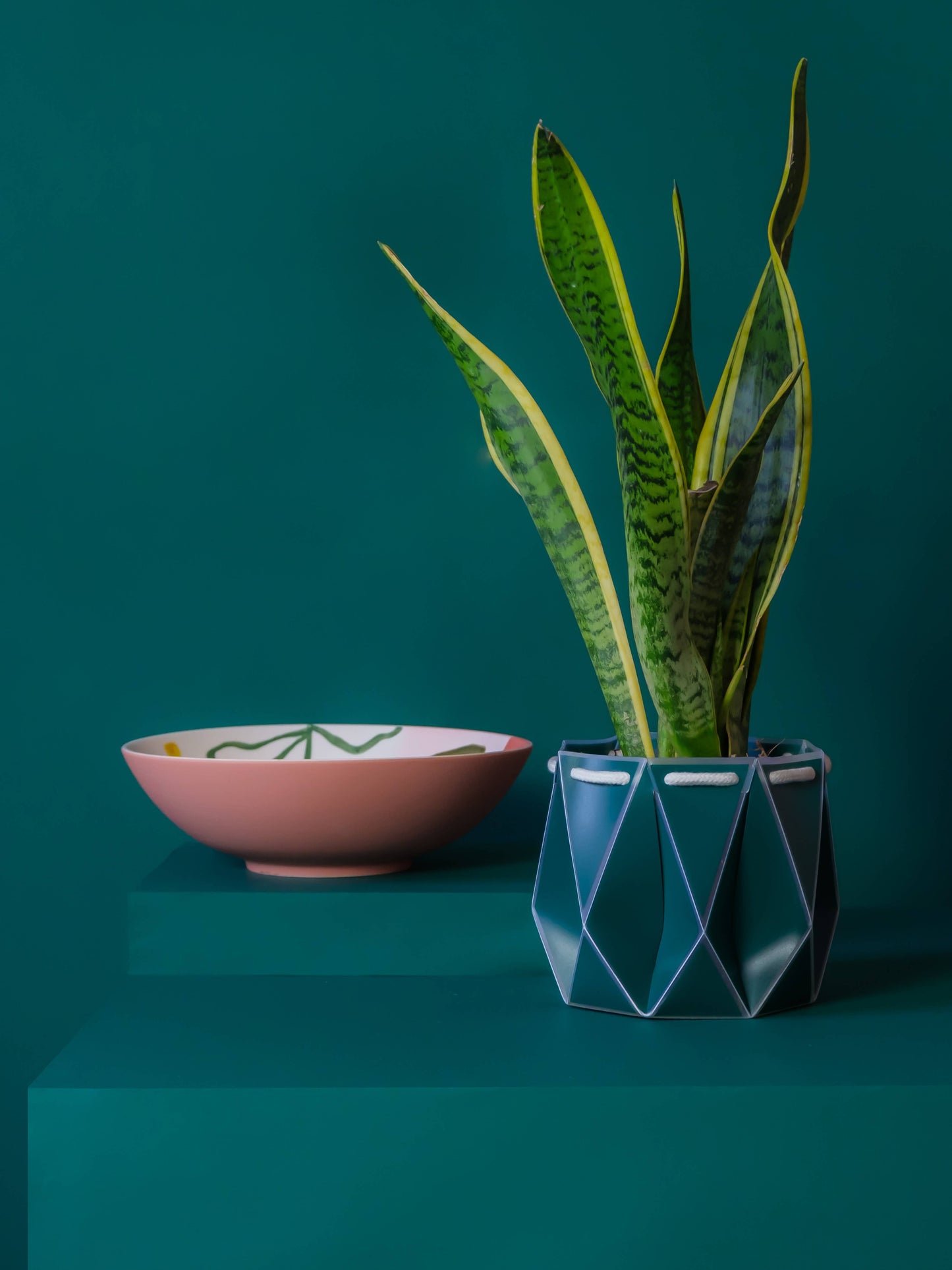 15cm self-watering plant pot by Churchill Green in blue with geometric design holding a tall green snake plant