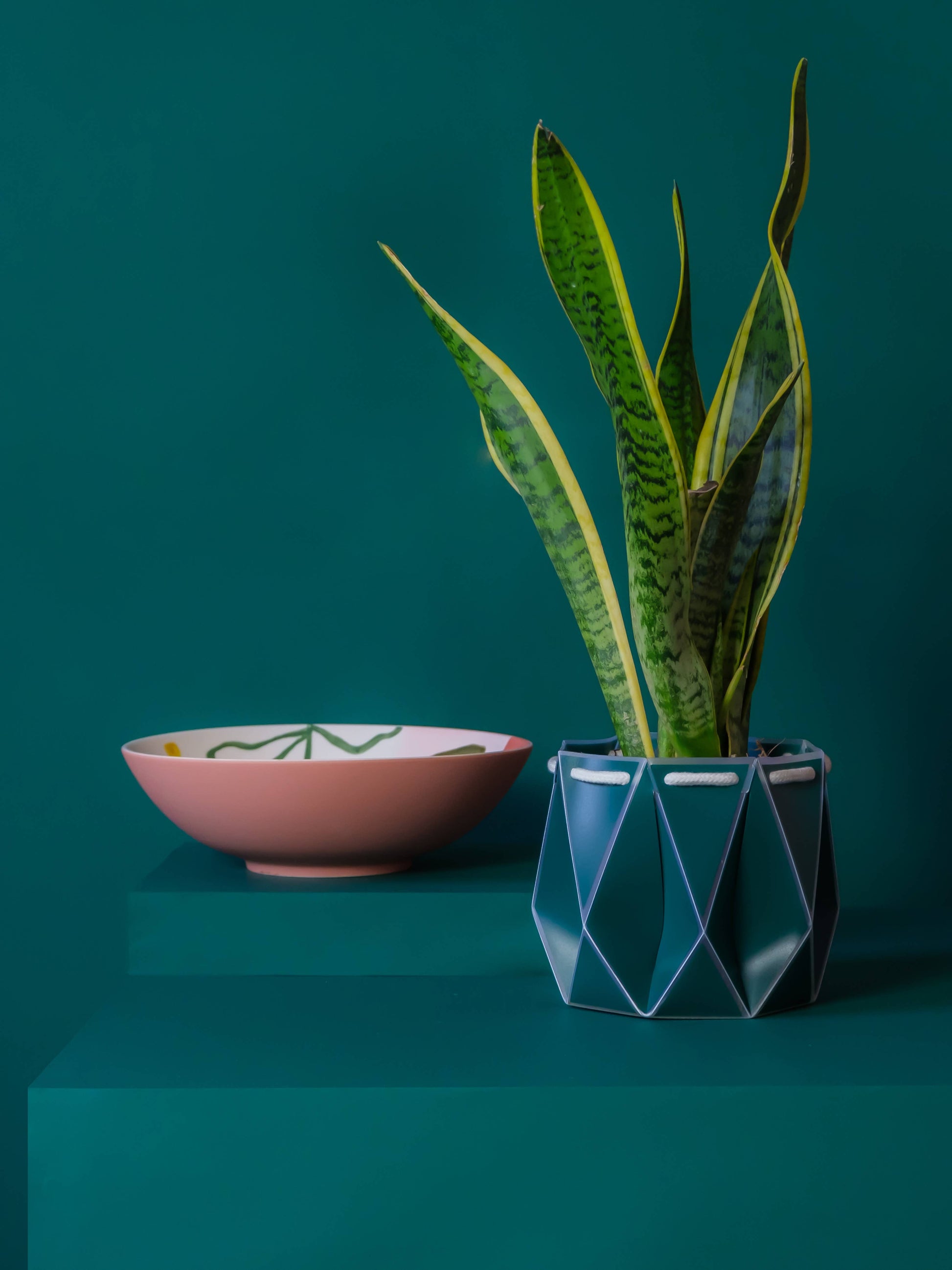 15cm self-watering plant pot by Churchill Green in blue with geometric design holding a tall green snake plant