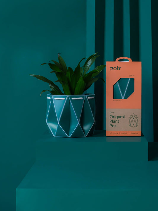 Churchill & Green origami style self-watering plant pot in teal with green plant inside