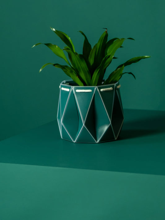 Churchill & Green geometric teal self-watering plant pot with green leafy plant